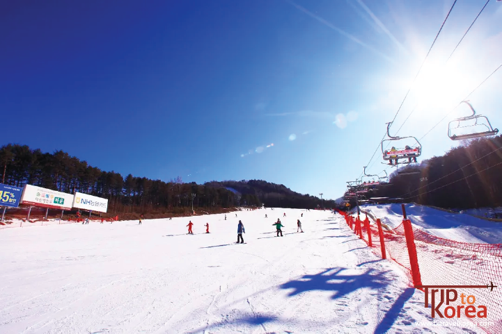 龍平度假村滑雪三天兩夜團