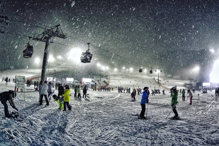 2025~2026 洪川大明 SONO VIVALDIPARK 現場購票