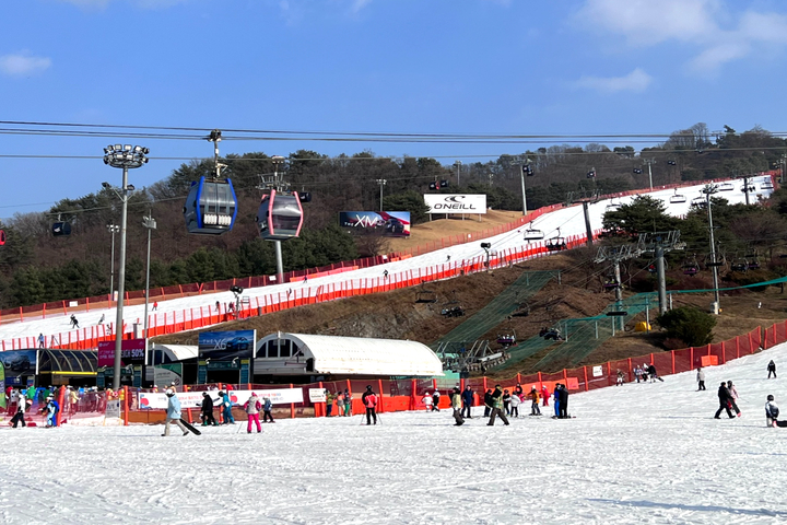 2025~2026 洪川大明 SONO VIVALDIPARK 現場購票