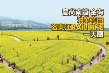 釜山出發 金黃油菜花田 洛東江RAILBIKE一天團