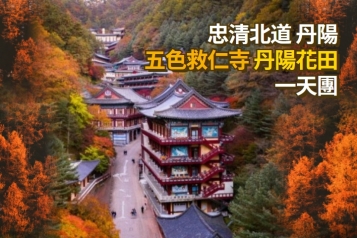 五色救仁寺 微秋丹陽花田一天團