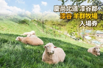 漆谷 羊群牧場 入場券