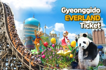 Everland One Day Ticket