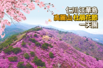 江華島高麗山杜鵑花節一天團