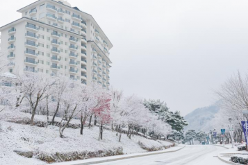 江村伊利希安渡假村